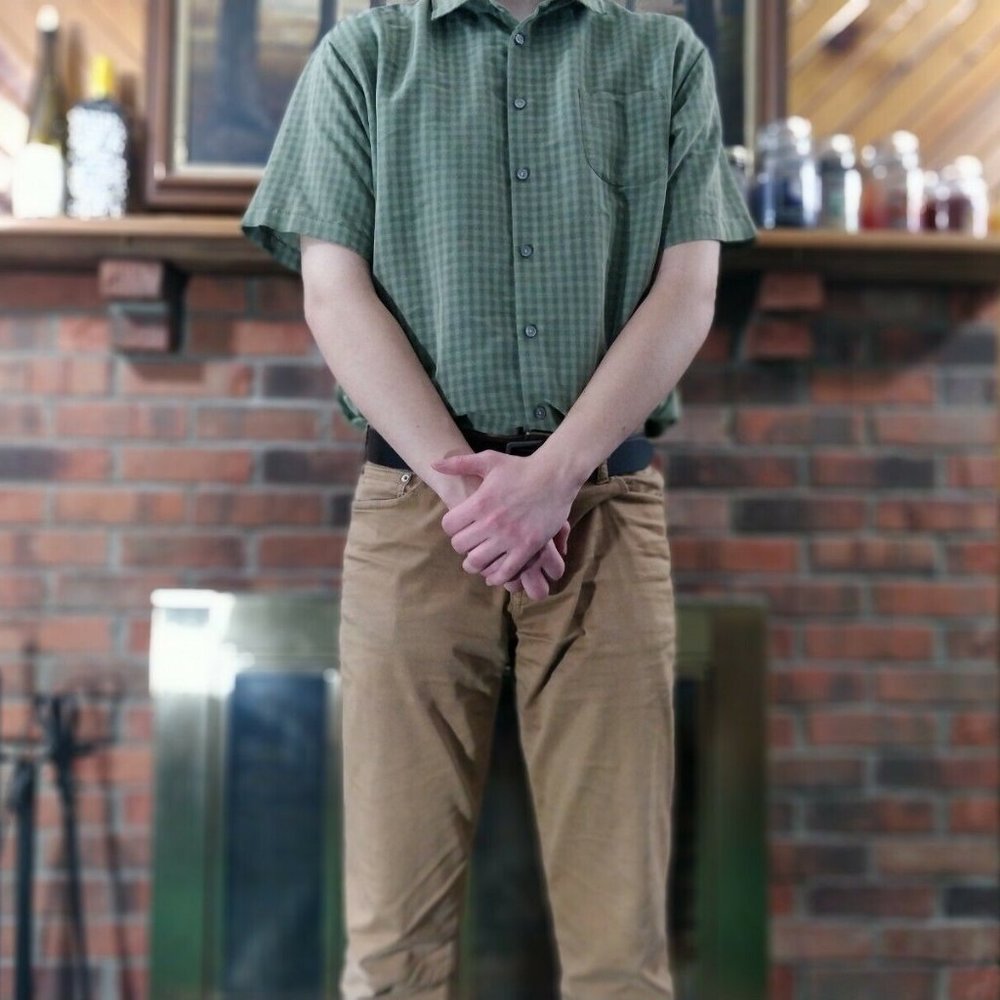 Van Heusen Green Half Sleeve Button Down
